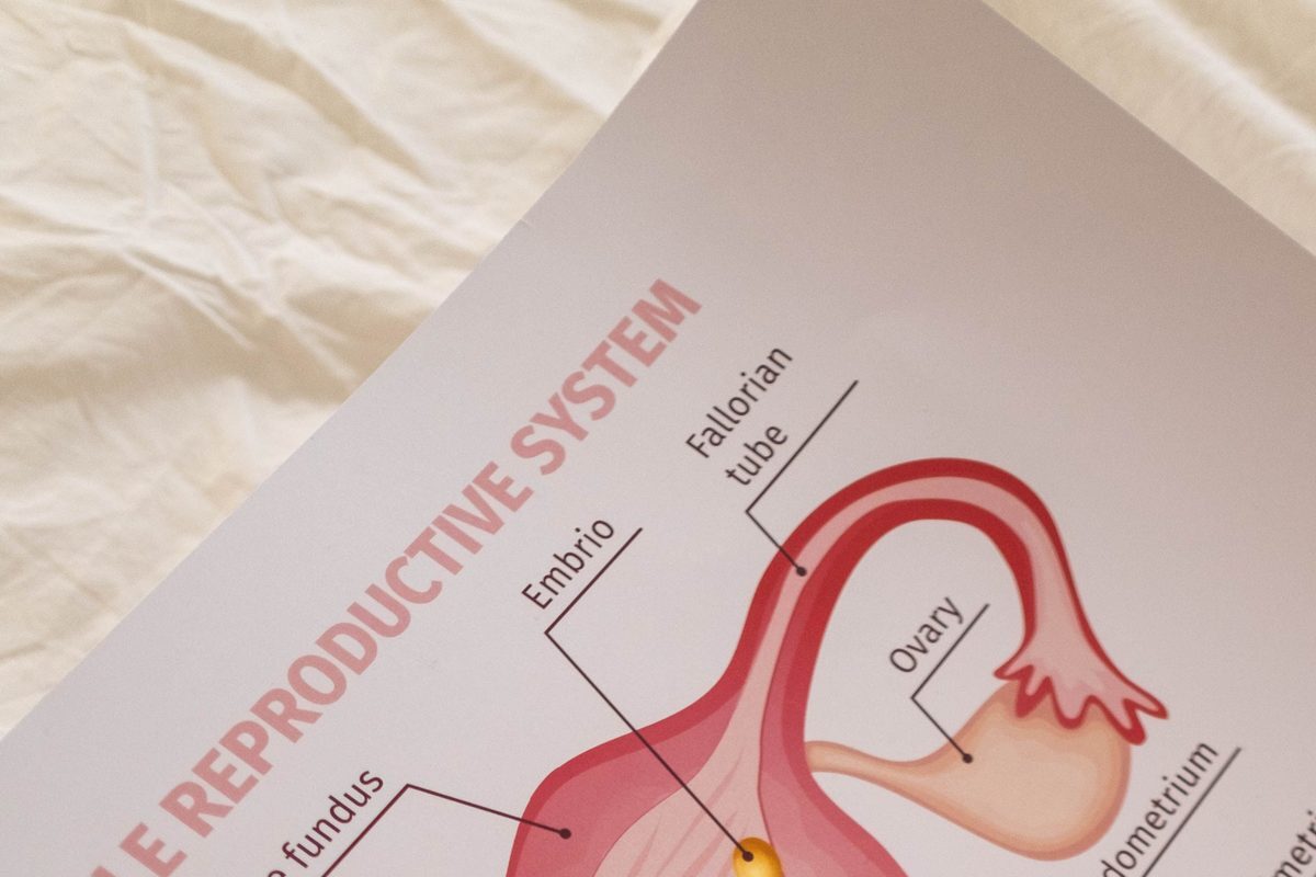 AMH basse : peut-on quand même tomber enceinte ?